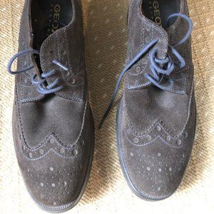 Geox Shoe -Suede-Oxford